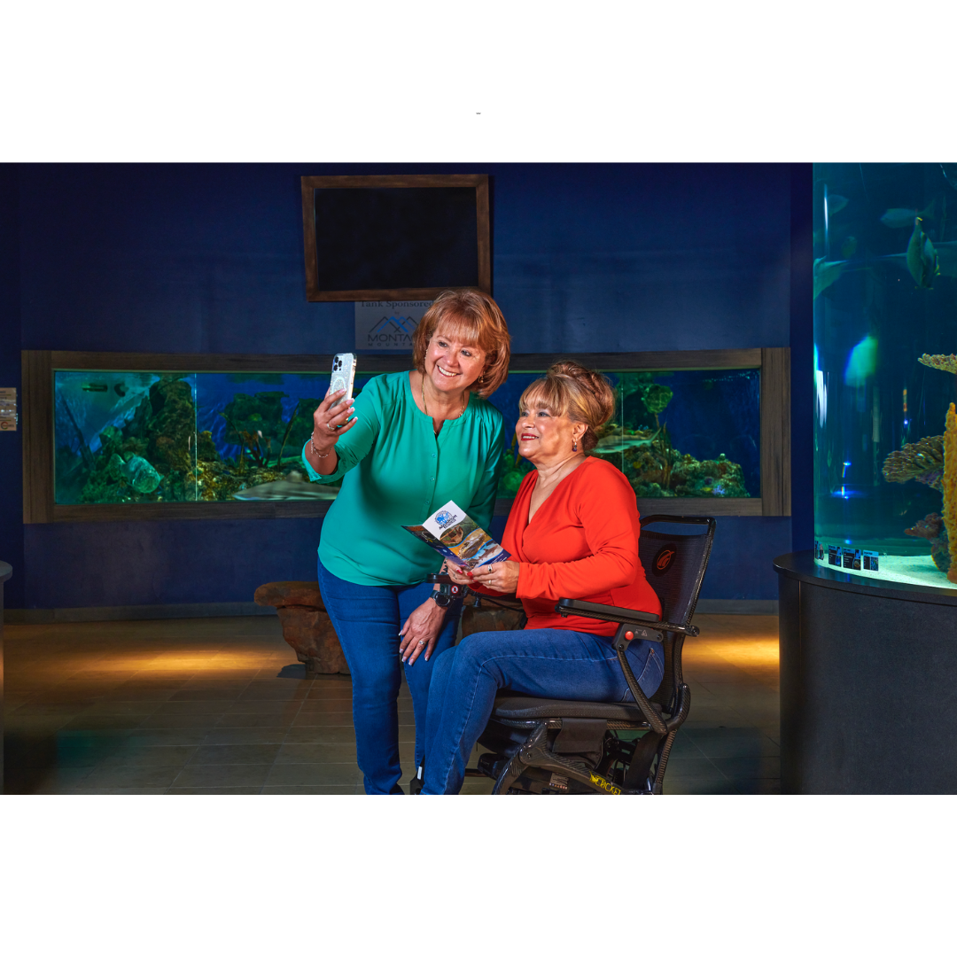 Golden Tech Cricket Carbon Fiber Foldable Travel Power Wheelchair - with user operating indoor