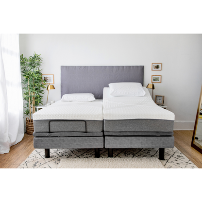 Golden Passport™ Hi Low Adjustable Bed with Dual-Zone Vibrating Massage - Twin XL beds together
