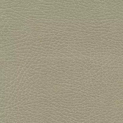 Golden Lift Chair Head Pillow